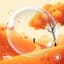 Orange Bubble