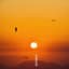 Paragliders