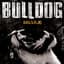 Bulldog