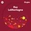 Ray LaMontagne
