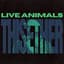 Live Animals