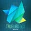 True Lies