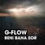 G-Flow