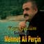 Mehmet Ali Perçin