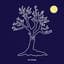 Roy Woods
