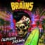 Brain