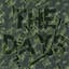 Green Day