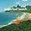 Sugarloaf Beach
