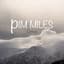 Pim Miles
