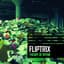 Fliptrix