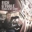 Rich O'Toole