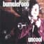 Bumblefoot