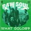 Frankie Beverly's Raw Soul