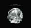 Sam Roberts Band