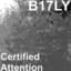B17LY