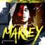 Bob Marley & The Wailers