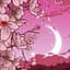 Shady Moon