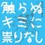 MOSHIMO