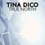 Tina Dico