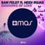 Sam Feldt