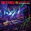 Gov't Mule