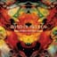 Band of Skulls