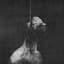 Peste Noire