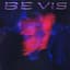 BE VIS