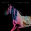 Hope Sandoval & The Warm Inventions