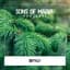 Sons Of Maria