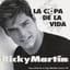 Ricky Martin