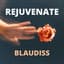 BLaudisS