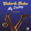 Elektrik Disko