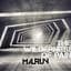 Malrun