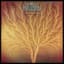 Van der Graaf Generator