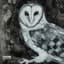 Owl Challenger