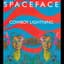 Spaceface