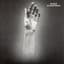 Afghan Whigs