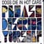 Dogs Die in Hot Cars