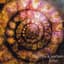 Steve Roach