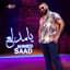 Ahmed Saad