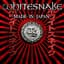 Whitesnake
