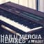 Hailu Mergia