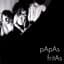 Papas Fritas
