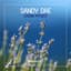 Sandy Dae