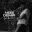 Nebi Demir