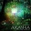 Akasha Experience