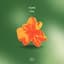 FIORE