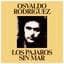 Osvaldo Rodriguez