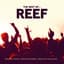 Reef